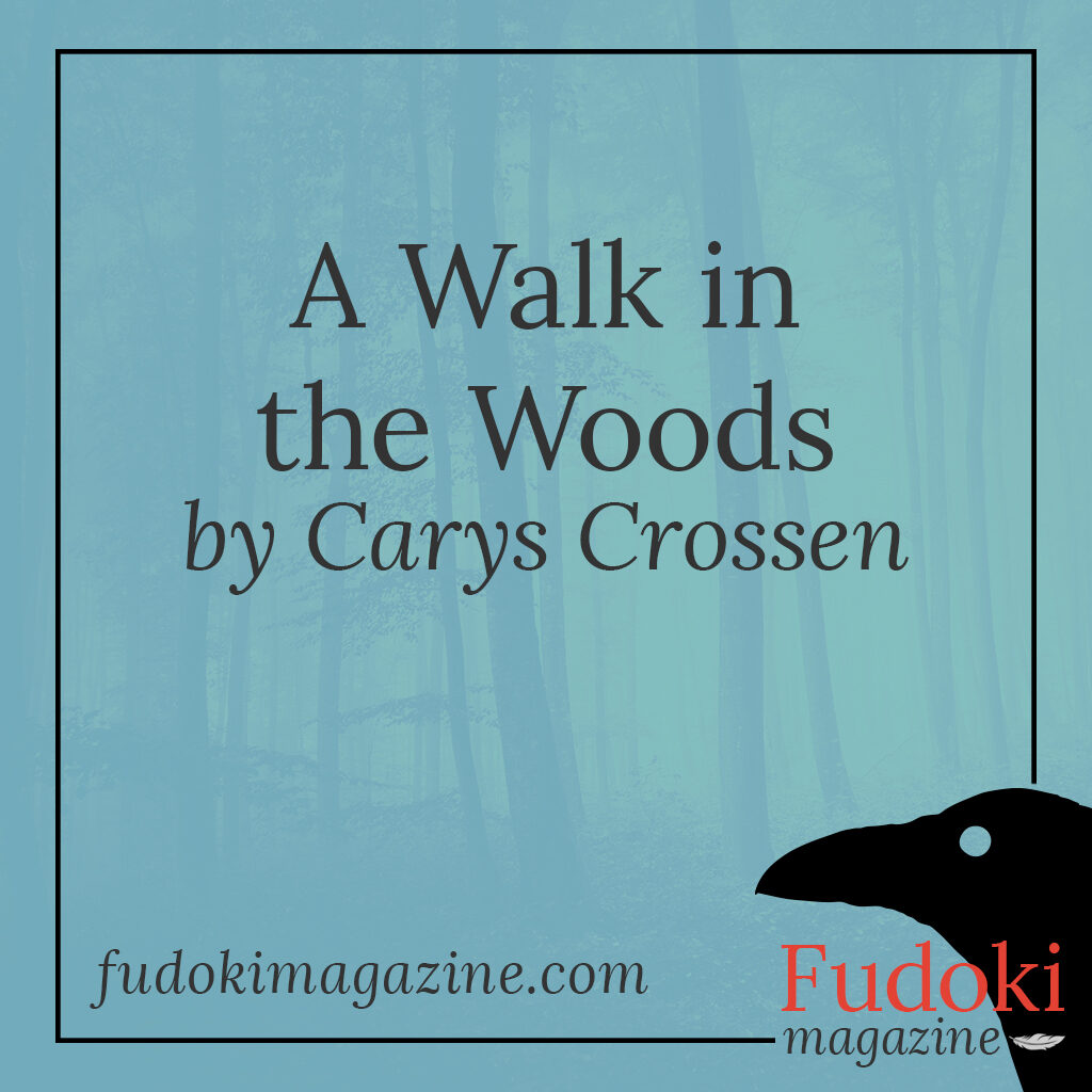 A Walk in the Woods by Carys Crossen