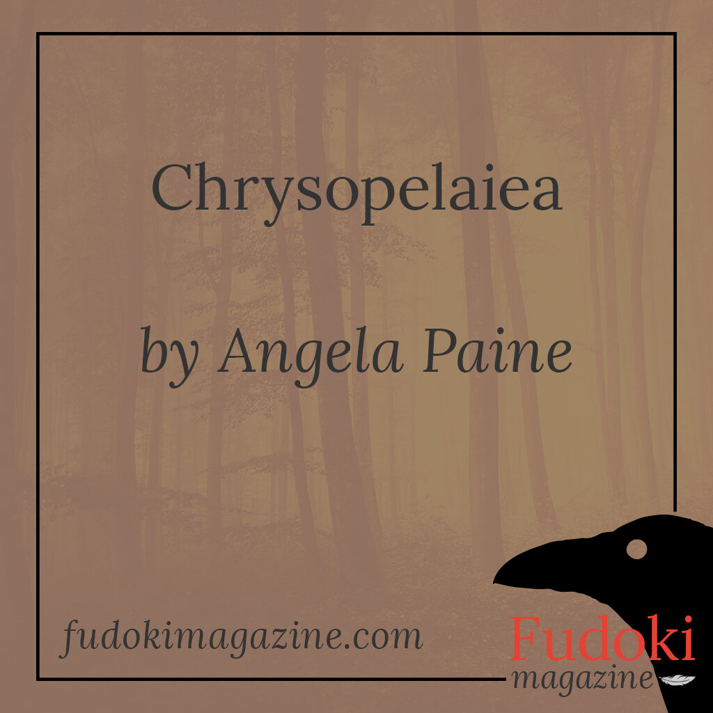 Chrysopelaiea by Angela Paine
