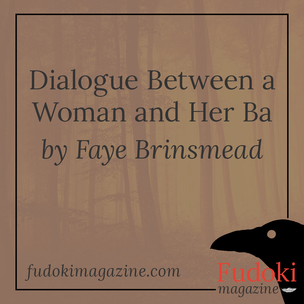 Dialogue Between a Woman and Her Ba by Faye Brinsmead