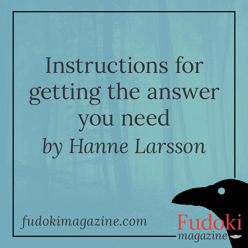 Instructions for getting the answer you need by Hanne Larsson