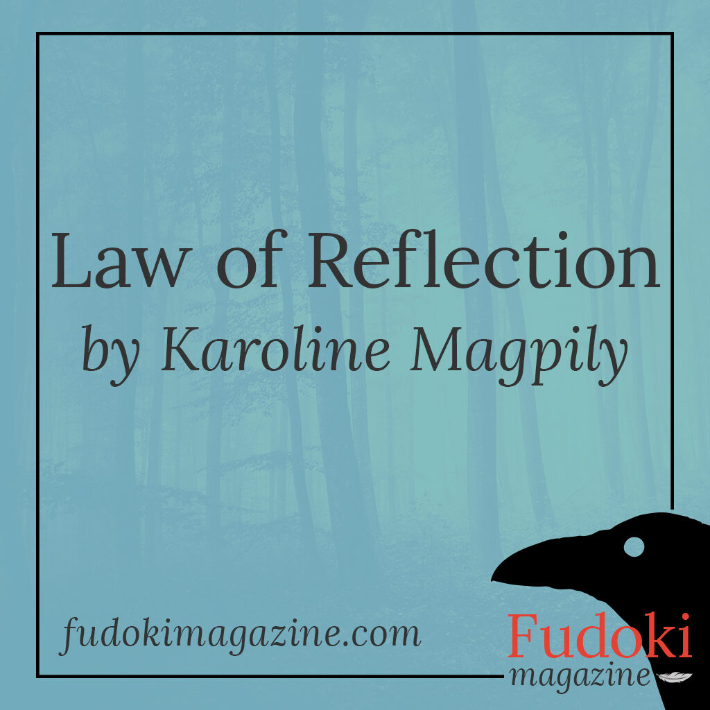 Law of Reflection by Karoline Magpily