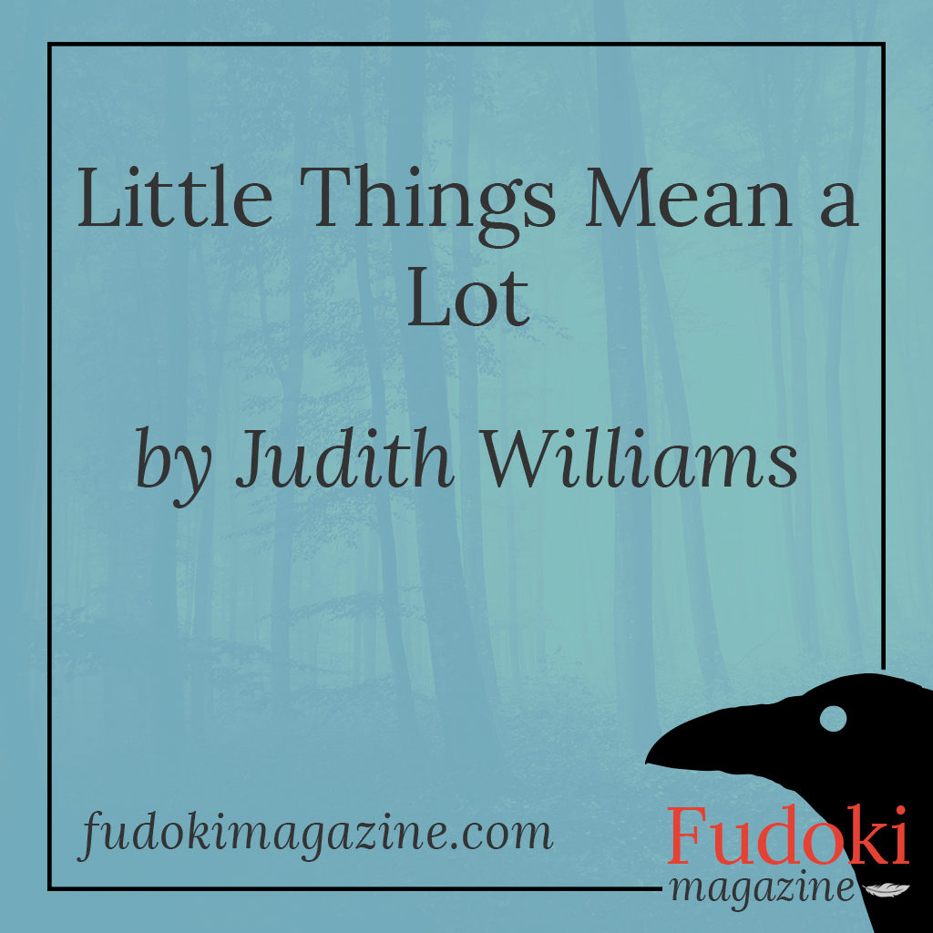 Little Things Mean a Lot by Judith Williams