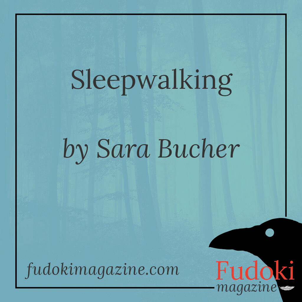 Sleepwalking by Sara Bucher