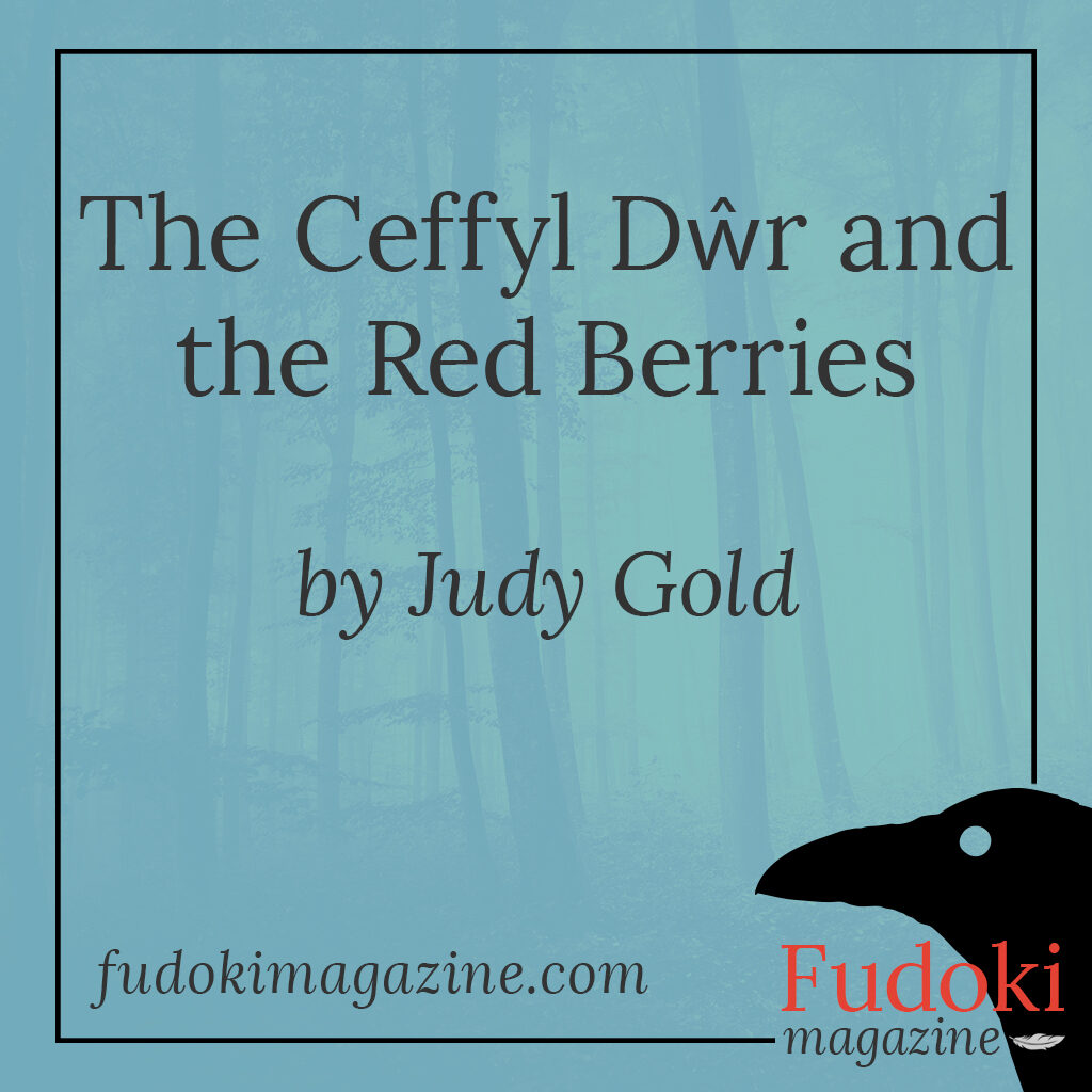 The Ceffyl Dŵr and the Red Berries by Judy Gold