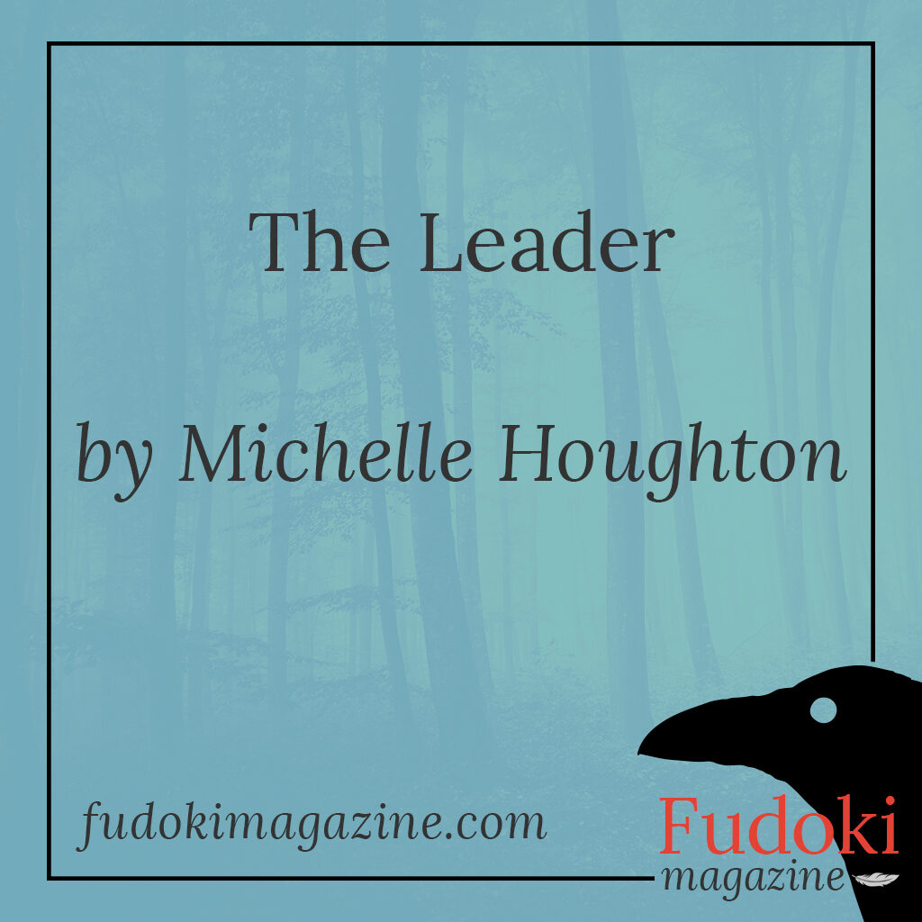 The Leader by Michelle Houghton