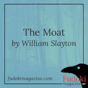 The Moat by William Slayton