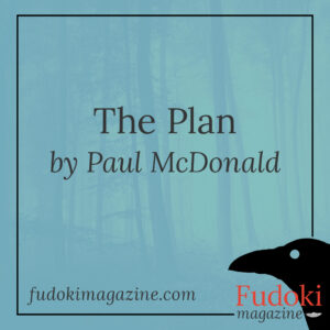 The Plan by Paul McDonald