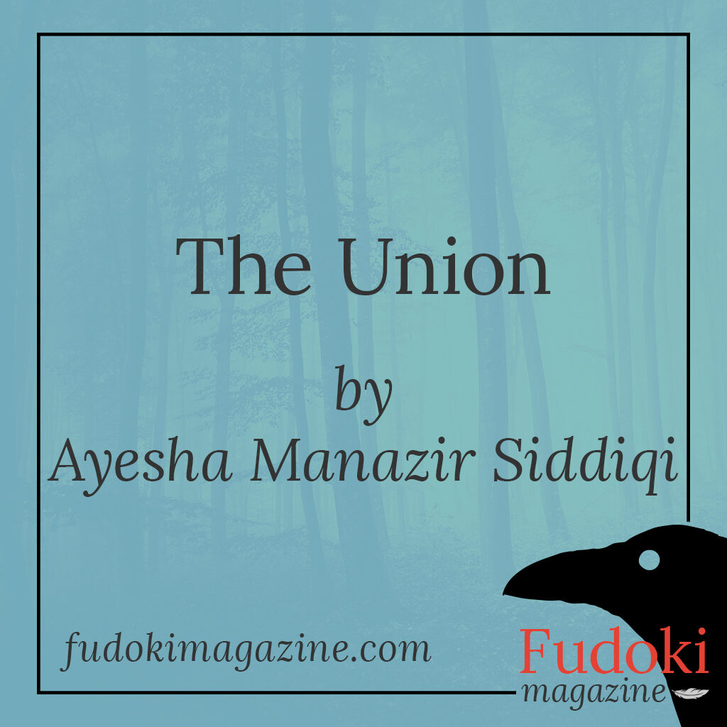 The Union by Ayesha Manazir Siddiqi